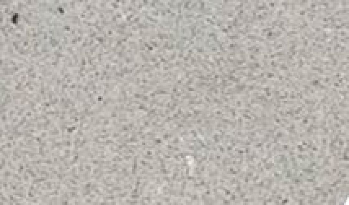Camden – Silestone – texture et veinage de la pierre