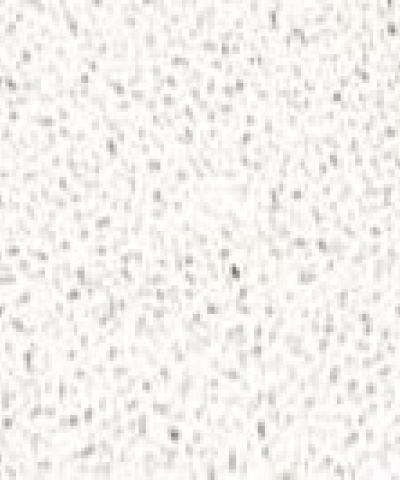 Blanco Maple – Silestone