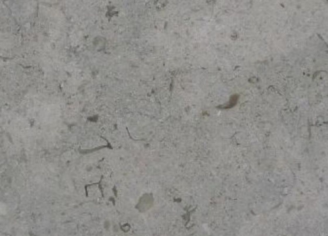 Arnos Blue – Calcaire – texture et veinage de la pierre