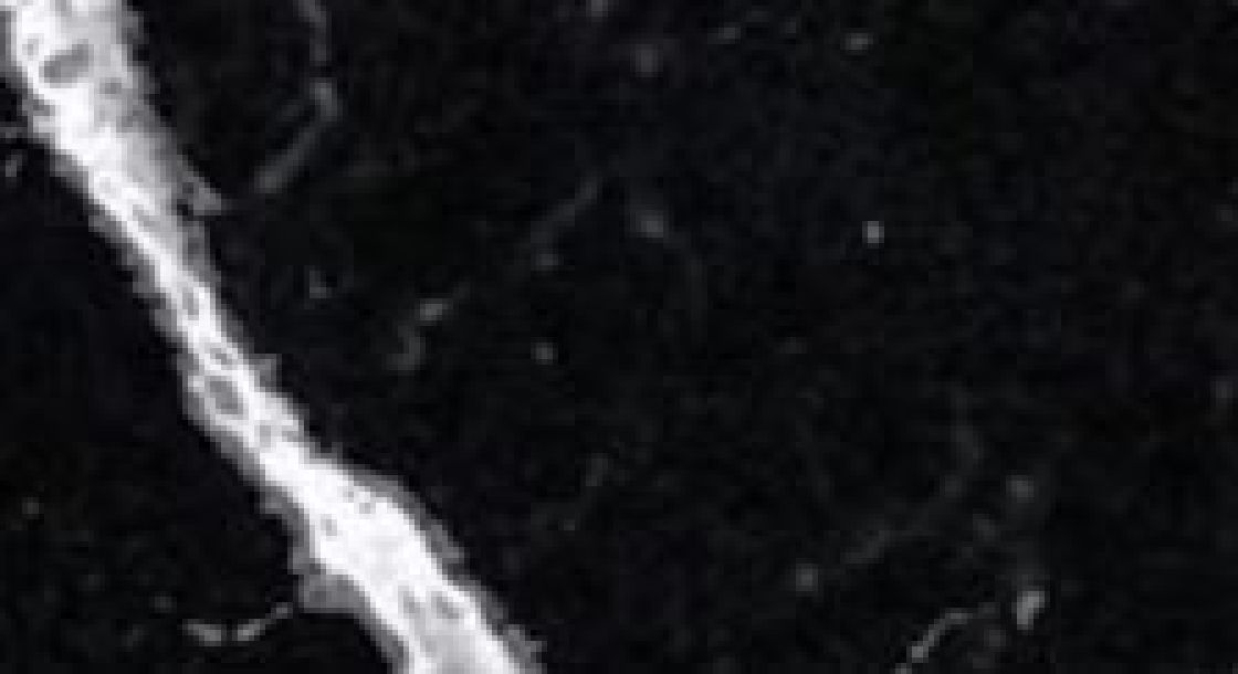 Et Marquina – Silestone – texture et veinage de la pierre
