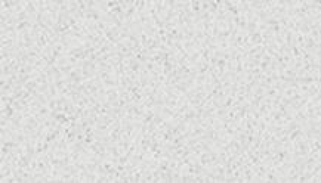 Blanco Norte – Silestone – texture et veinage de la pierre