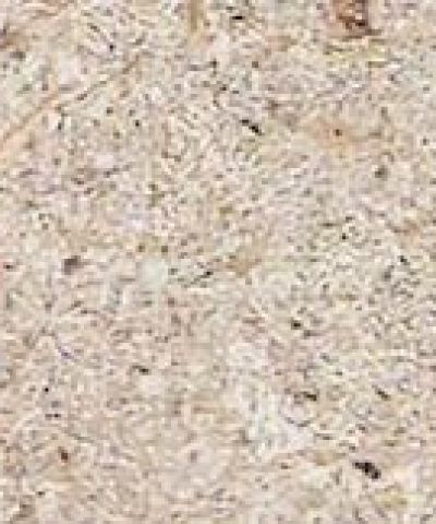 Avorio – Dekton
