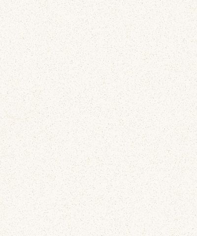 Caesarstone Blizzard/Snow – ArchiType