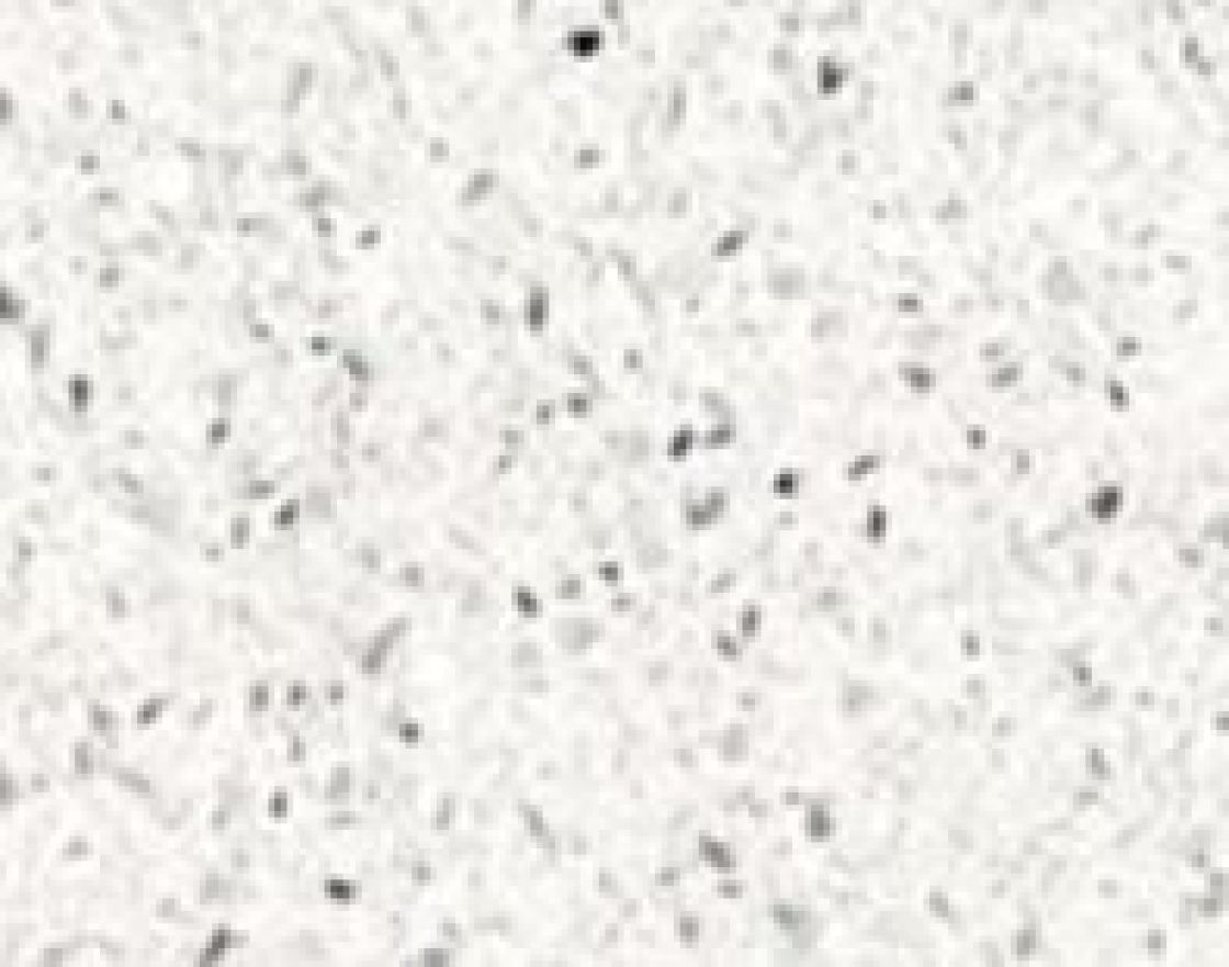 Stellar Blanco – Silestone – texture et veinage de la pierre