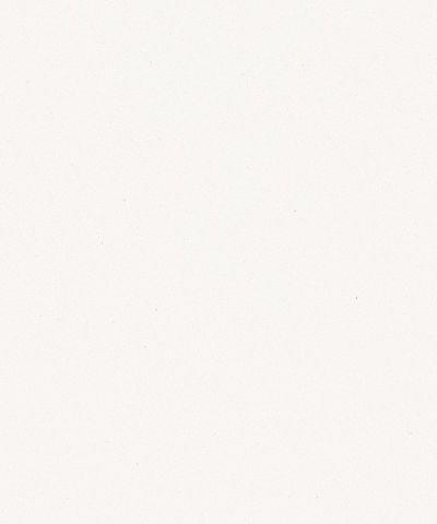 Caesarstone Pure White – ArchiType