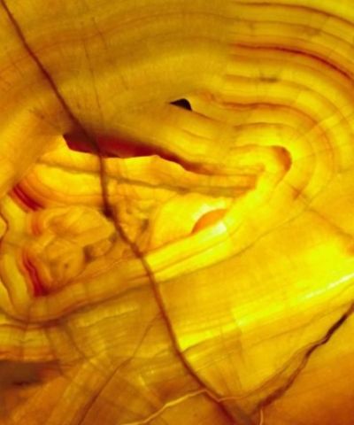 Onyx Orange – Onyx
