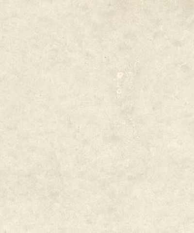 Sasea – Dekton