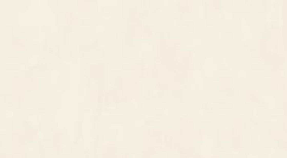 Nuovo Corso Cement White – Ceramic – stone texture and veining