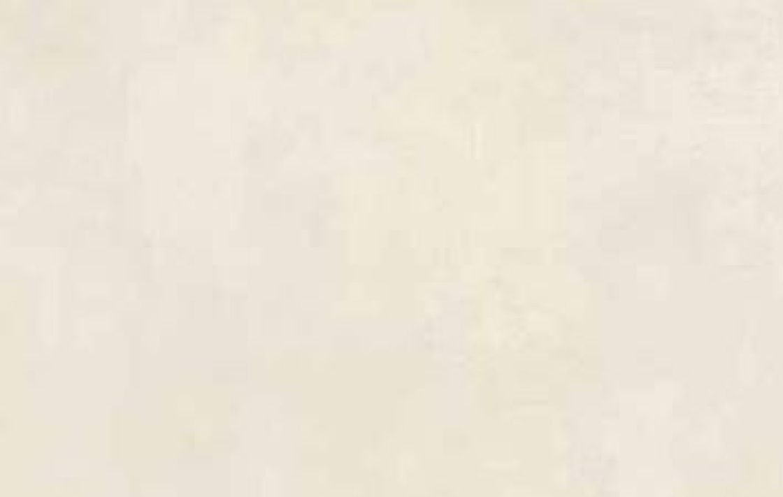 Nuovo Corso Boulevarde White – Céramique – texture et veinage de la pierre
