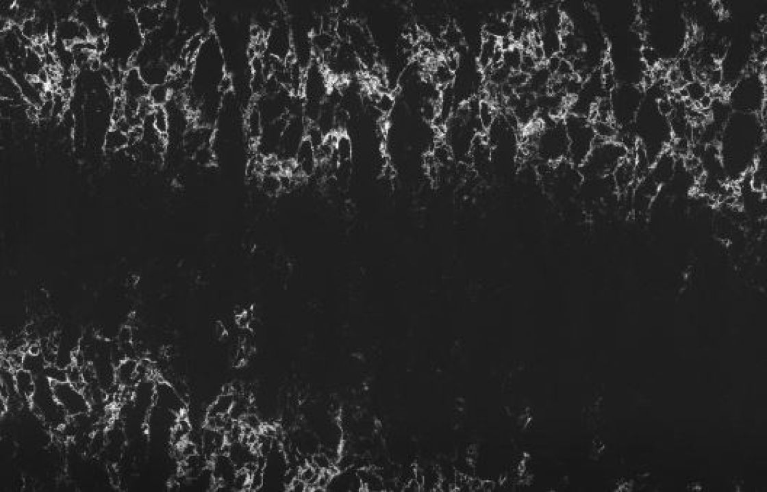 Pearl Lava – Technistone – stone texture and veining