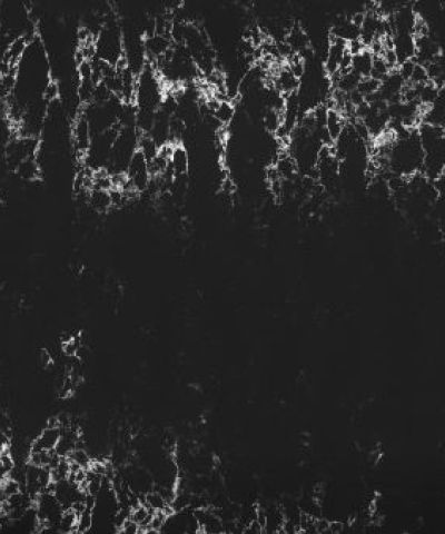 Pearl Lava – Technistone